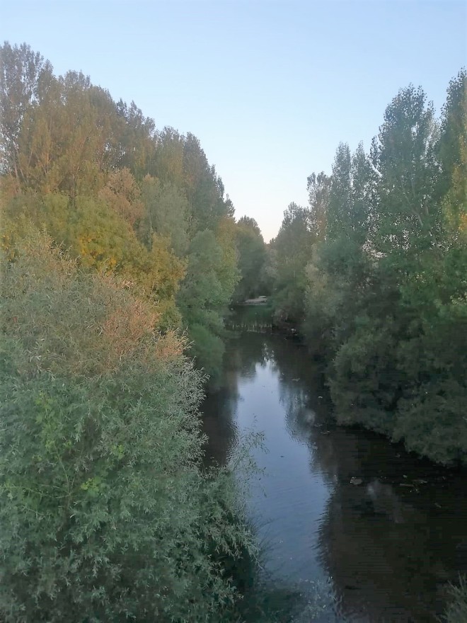 Río Arlanza